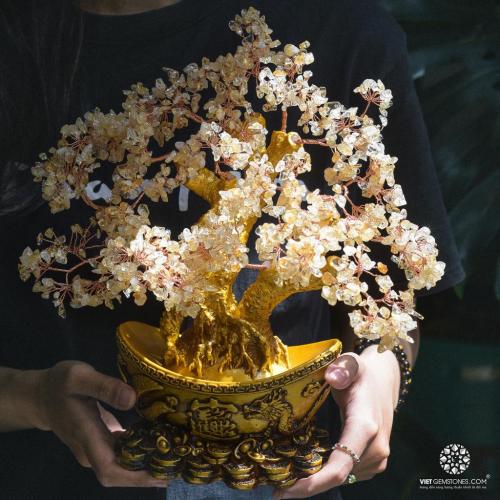 Cây tài lộc Thạch anh vàng